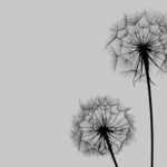 Printed Framed Tableau - OAP020 - Image 2