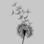 Printed Framed Tableau - OAP020 - Image 4