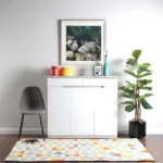 Modern Shoe Cabinet - MZSR019